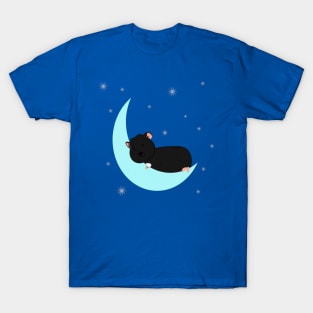 Sleeping Guinea pig T-Shirt